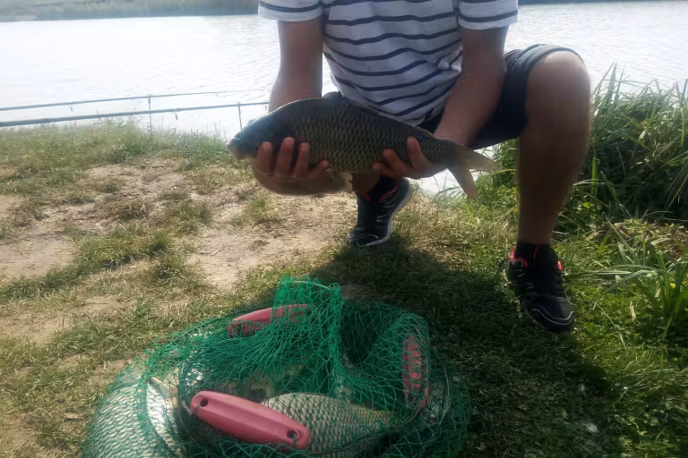 Fotografie de la Lacul Boteni 1