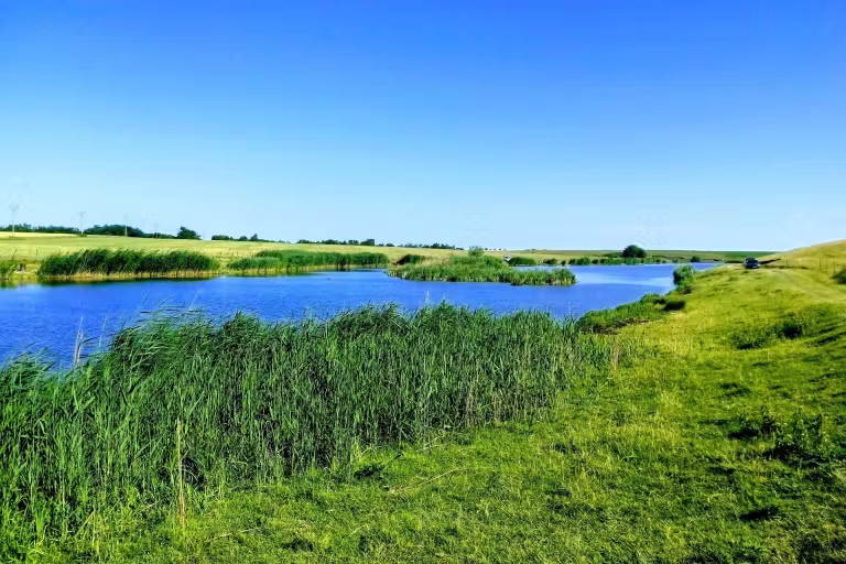 Lacul Boteni 1