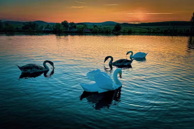 Lacul Căprioara photo 5