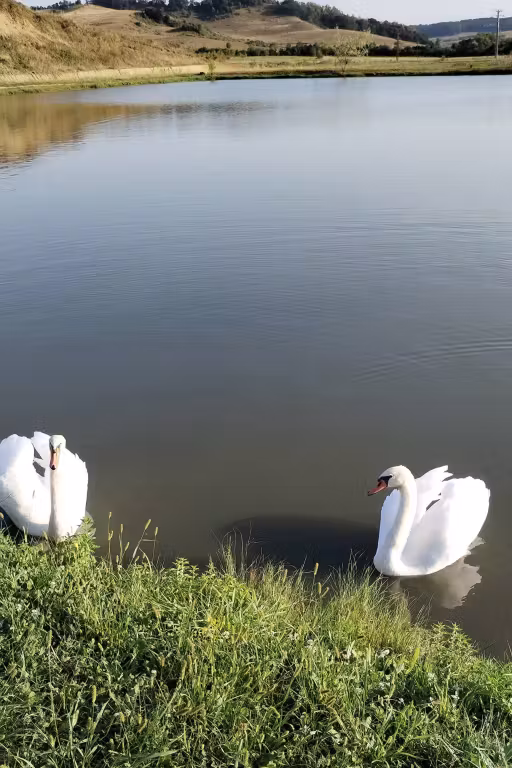 Lacul Căprioara photo 6