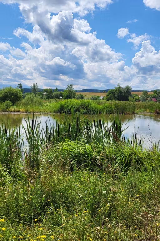 Lacul Căprioara photo 2