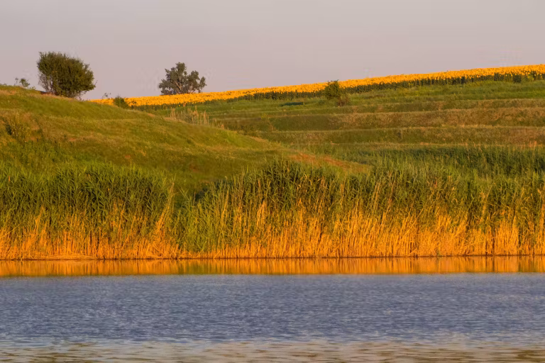 Lacul Dârvari