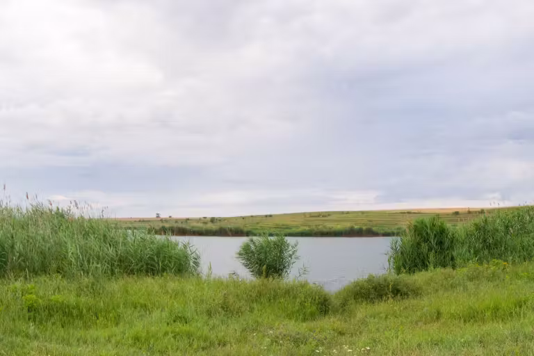 Lacul Dârvari photo 2