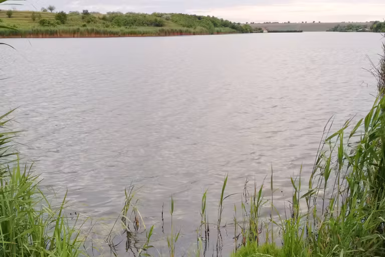 Lacul Dârvari photo 3