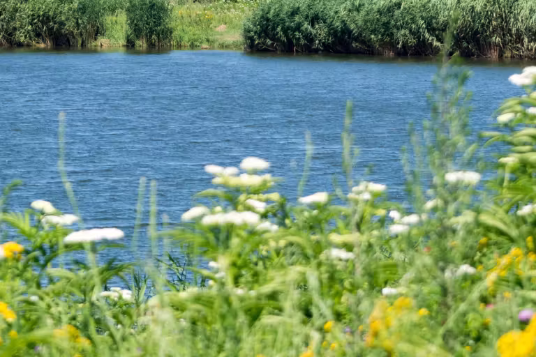 Lacul Dârvari photo 4