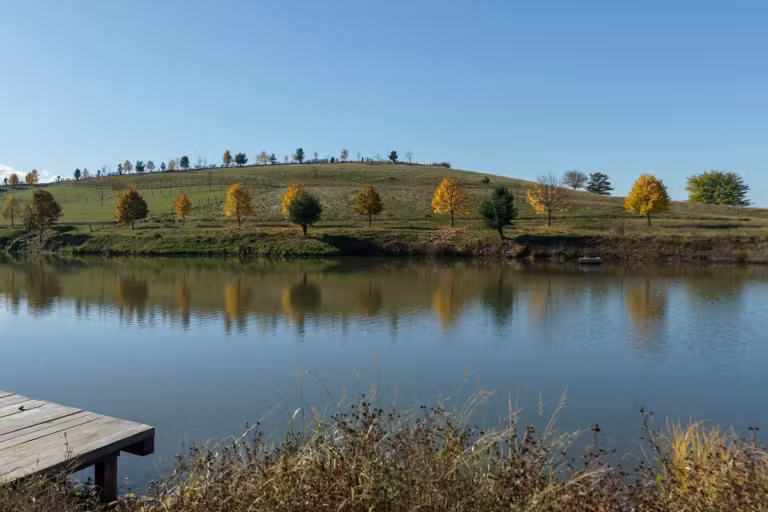 Lacul Ecotam photo 4