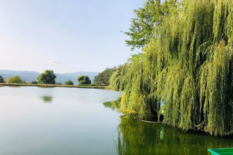 Lacul Ecotam