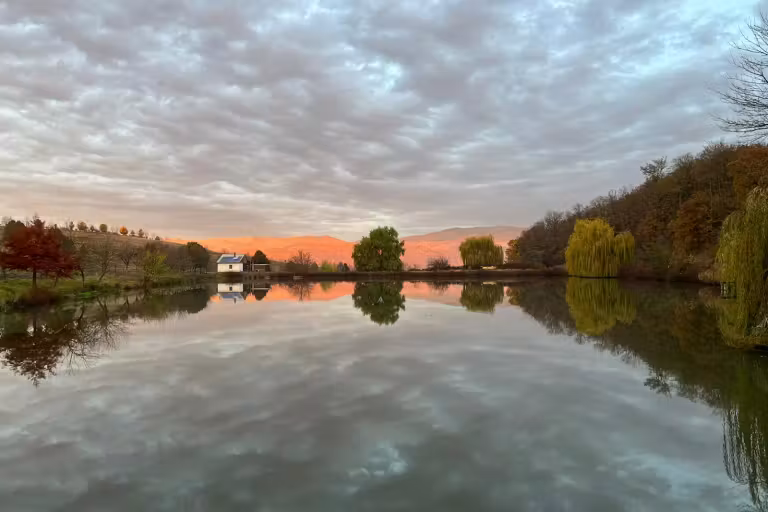 Lacul Ecotam photo 10