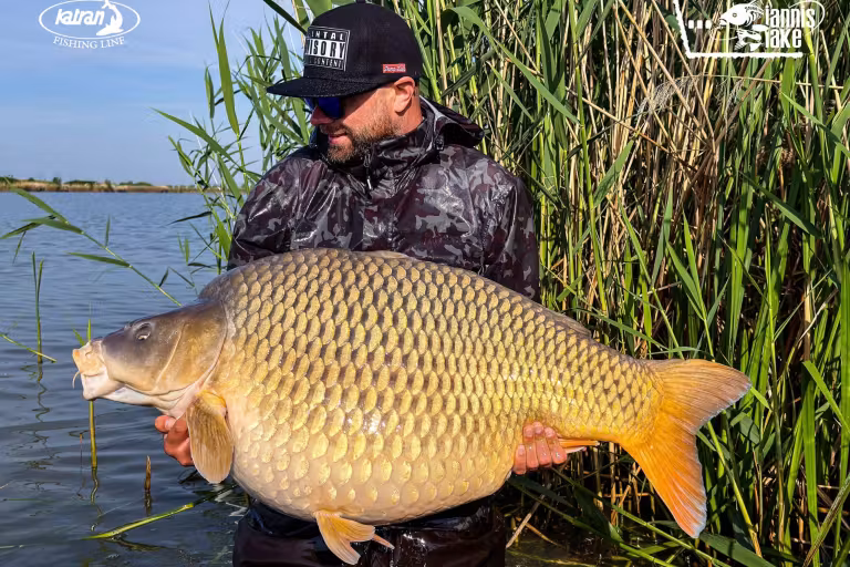 Fotografie de la Lacul Iannis