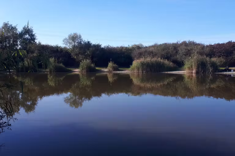 Fotografie de la Lacul La Noroc
