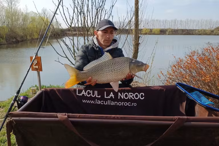 Fotografie de la Lacul La Noroc