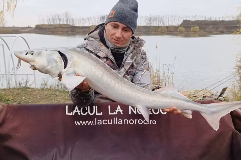 Fotografie de la Lacul La Noroc