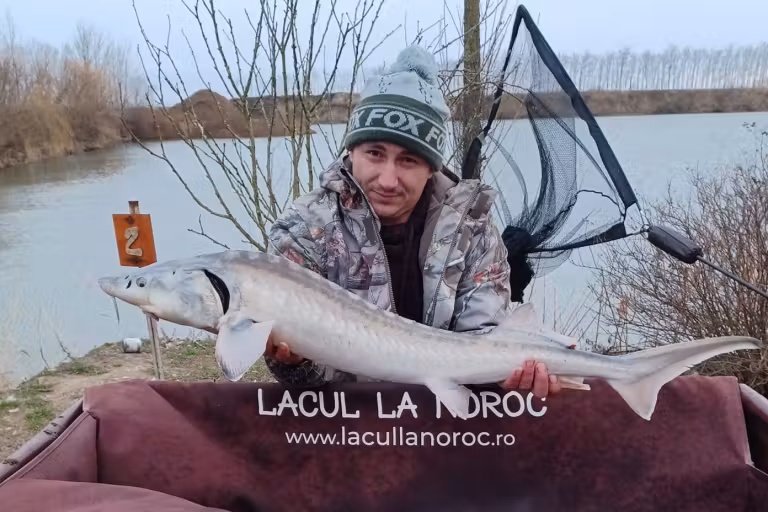 Fotografie de la Lacul La Noroc