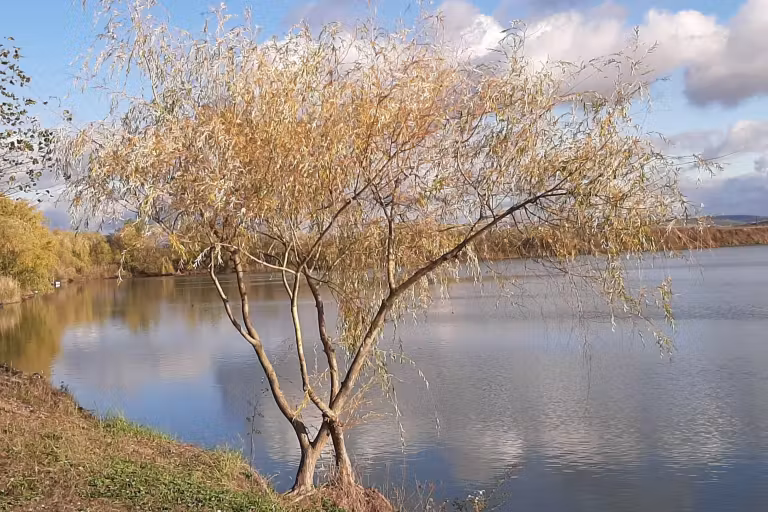 Fotografie de la Lacul La Noroc