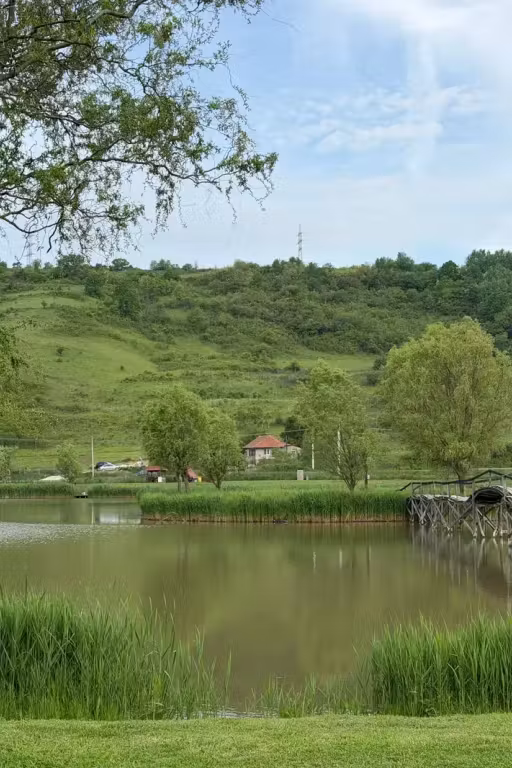 Lacul lui Jack photo 9