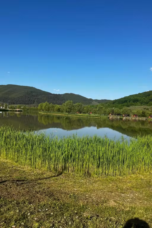 Lacul lui Jack photo 2
