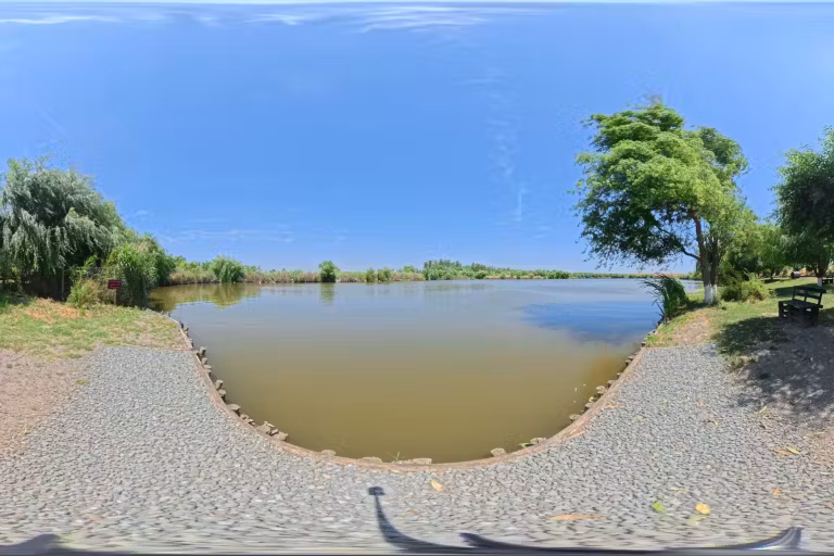 Lacul Nucetu photo 6
