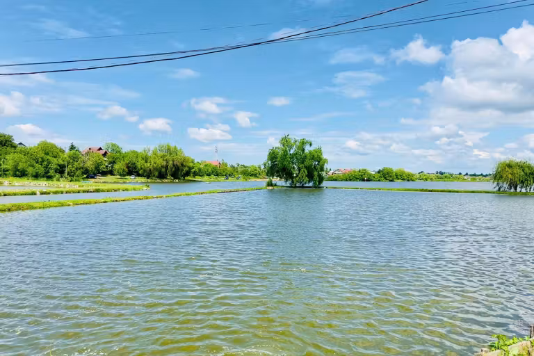 Photo of Lacul Periș