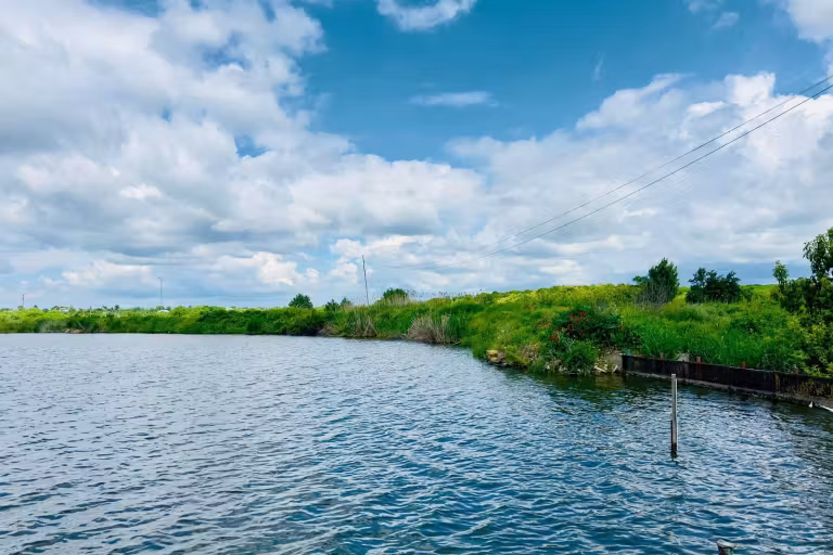 Photo of Lacul Periș