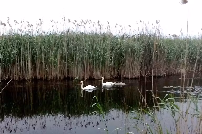 Fotografie de la Lacul Pietrei
