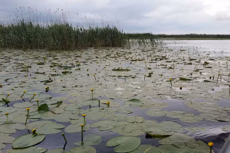 Fotografie de la Lacul Pietrei
