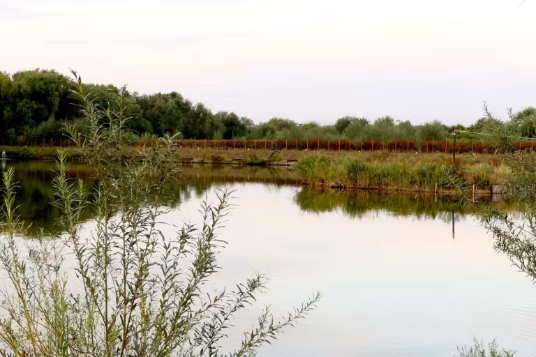 Photo of Lacul Valcroft