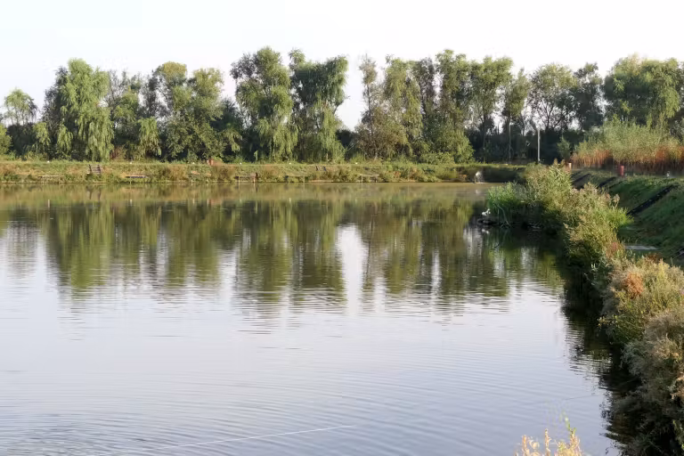 Photo of Lacul Valcroft