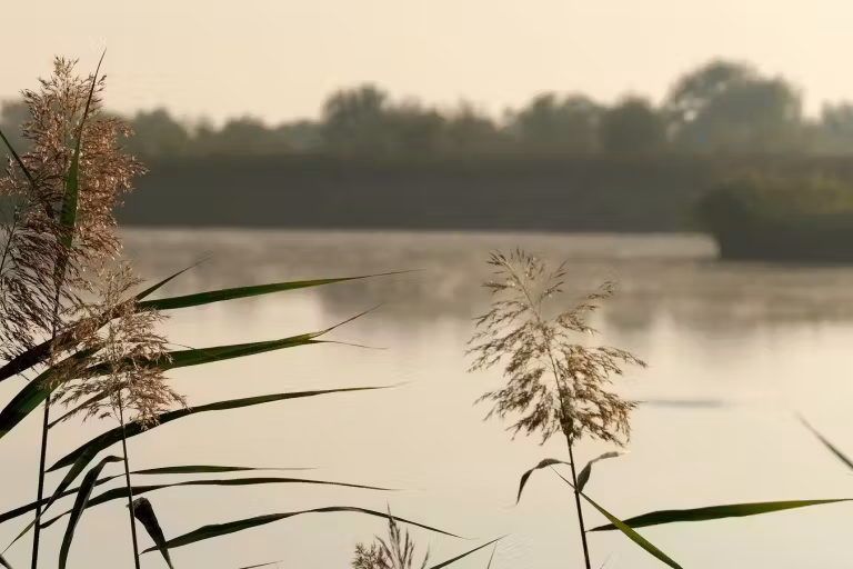 Photo of Lacul Valcroft