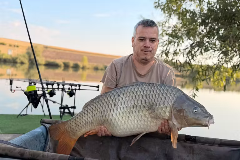 Photo of Măgura 9