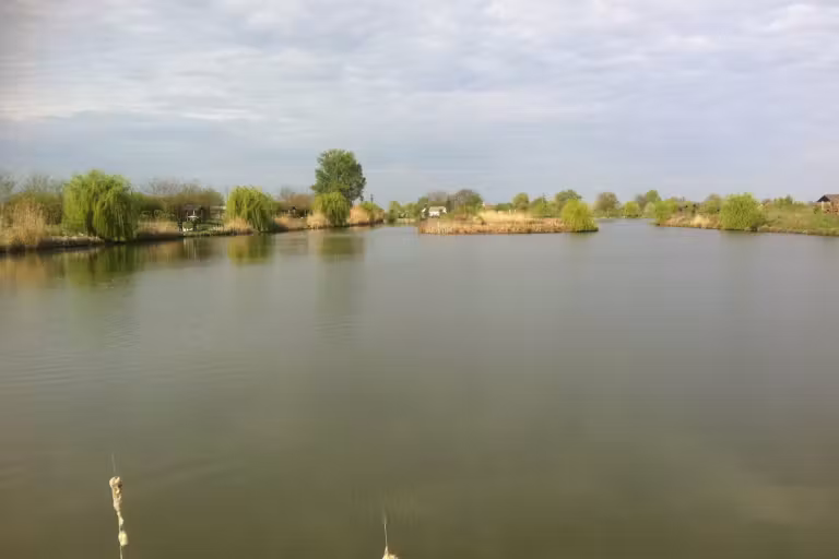 Photo of MeritaBio