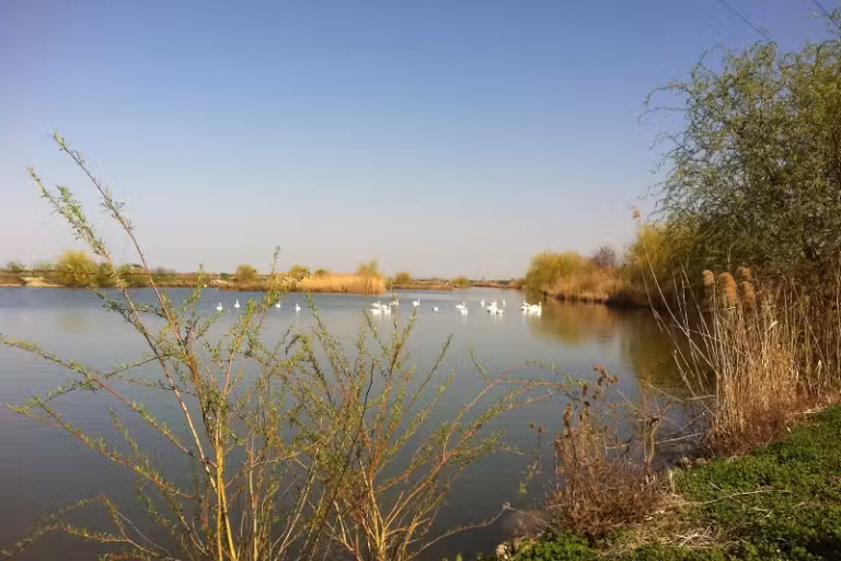 Photo of MeritaBio