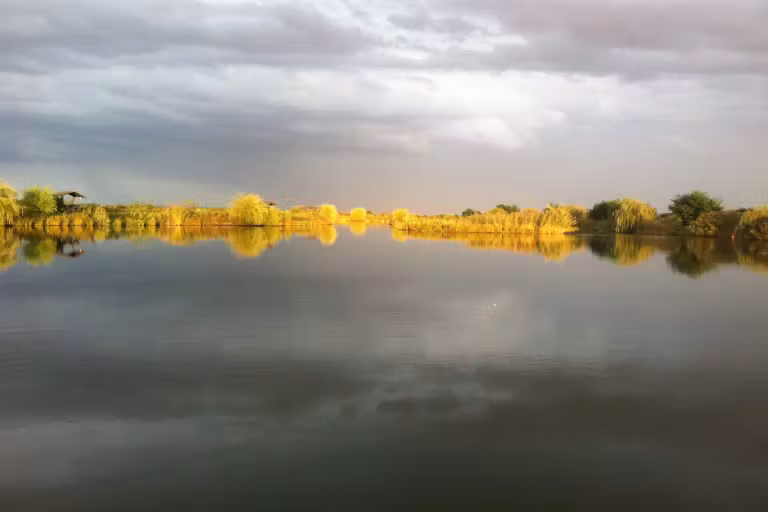 Photo of MeritaBio