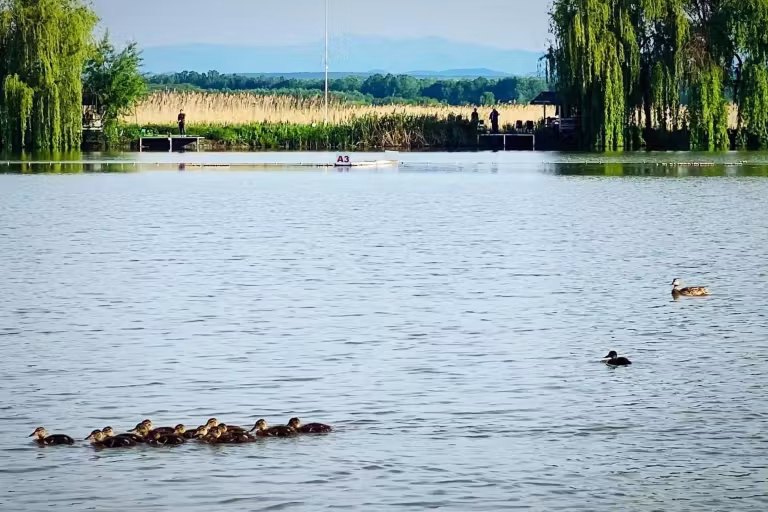 New Lake Lazuri 5
