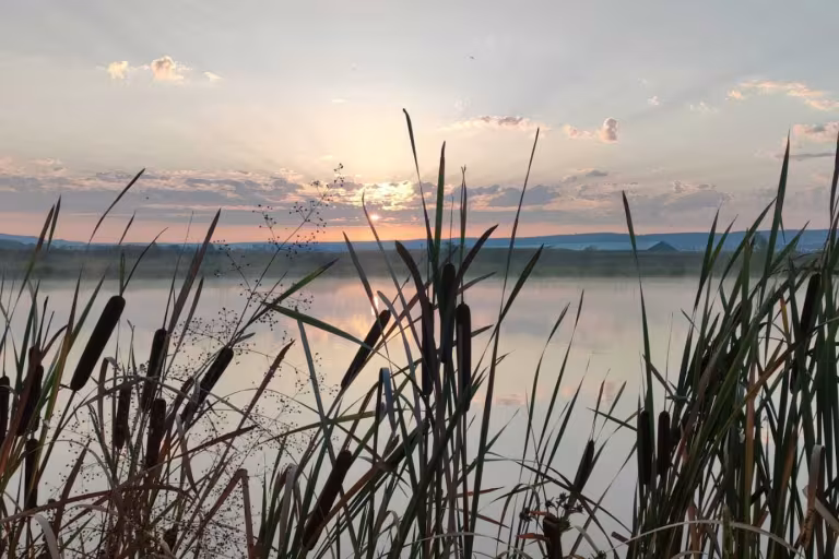 Photo of Ozone Lake