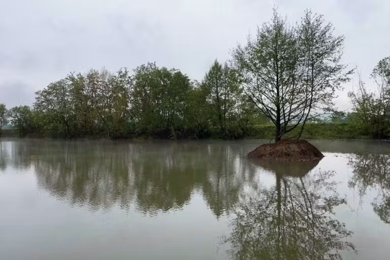 Utopik Carp Lake photo 6