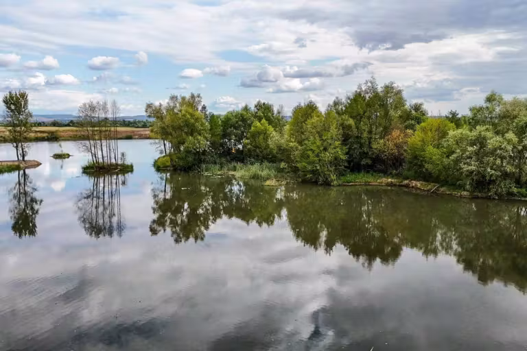 Utopik Carp Lake photo 7