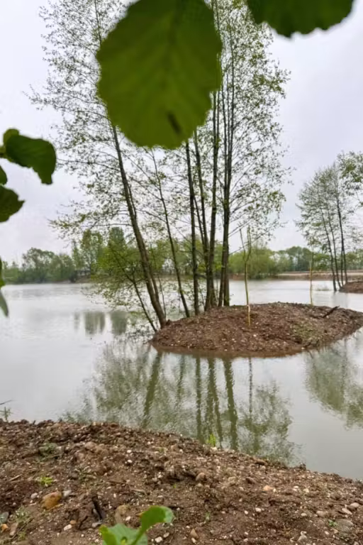 Photo of Utopik Carp Lake