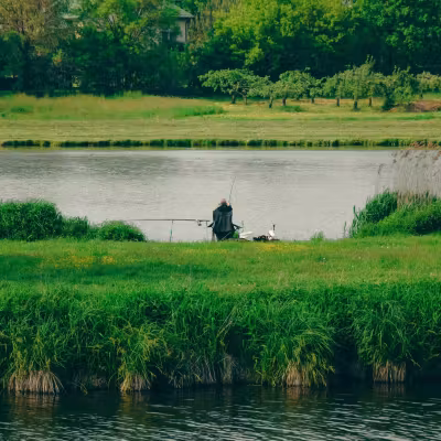 Coarse fishing lakes in Romania